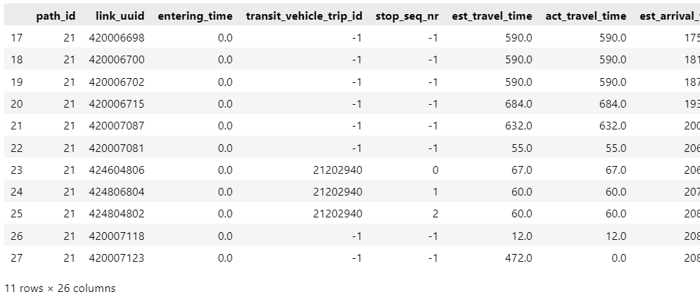 Example MM Path Links DataFrame